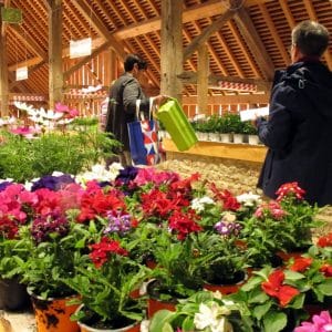 ASSOCIATION 02 LA CASCADE Marche aux fleurs