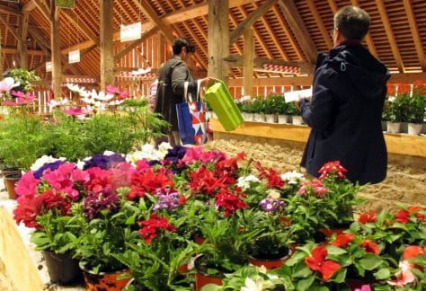 ASSOCIATION 02 LA CASCADE Marche aux fleurs